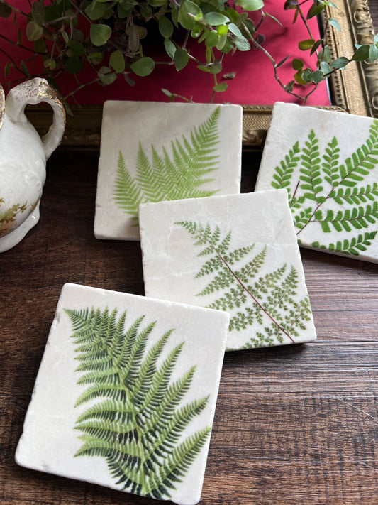 Ferns Stone Coasters - Set of 4