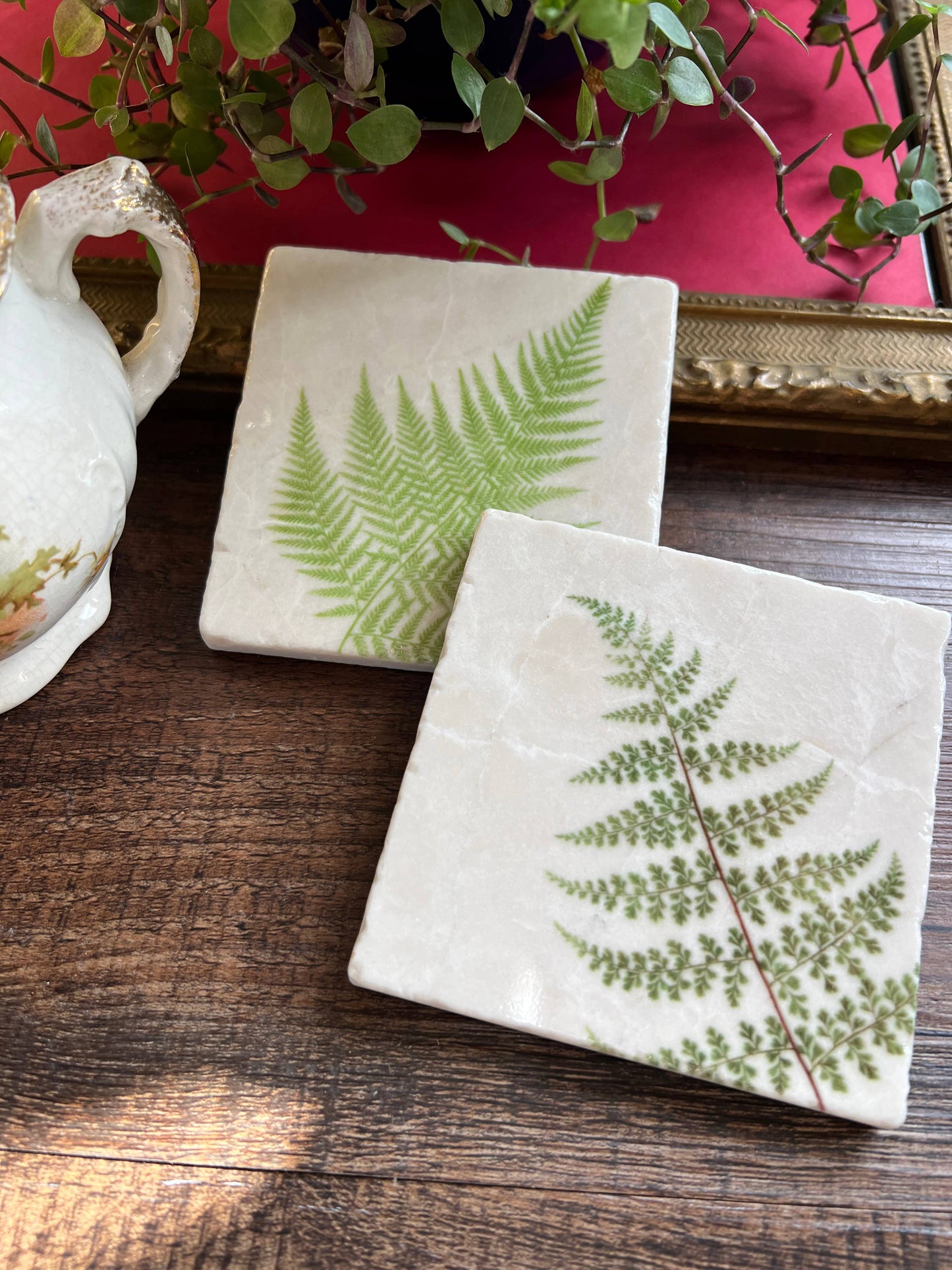 Ferns Stone Coasters - Set of 4