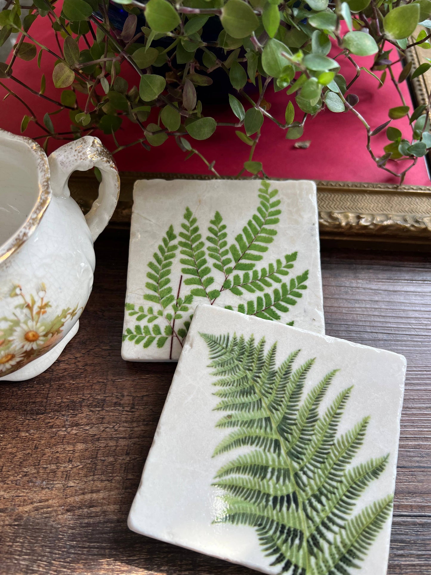 Ferns Stone Coasters - Set of 4